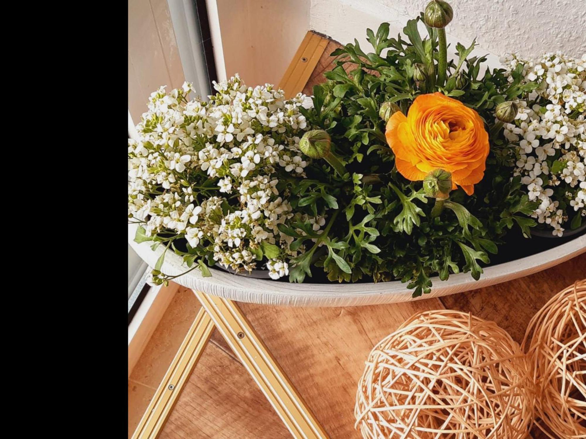 Neu Ferienwohnung Walsrode Dış mekan fotoğraf